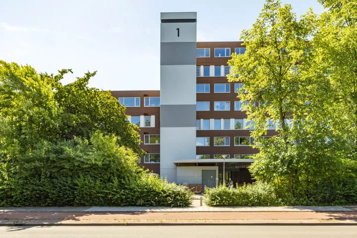 Meerpaal 36 Groningen thumbnail 6