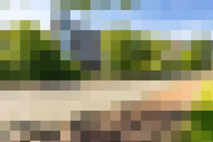 Meerpaal 36 Groningen thumbnail 7