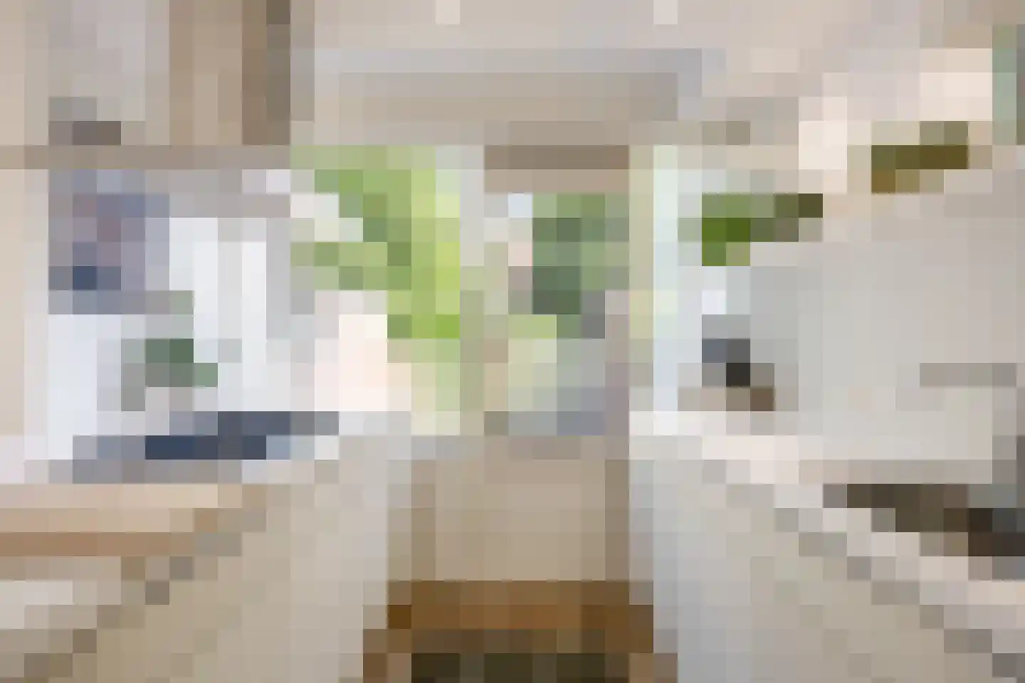Meerpaal 367 Groningen thumbnail 13