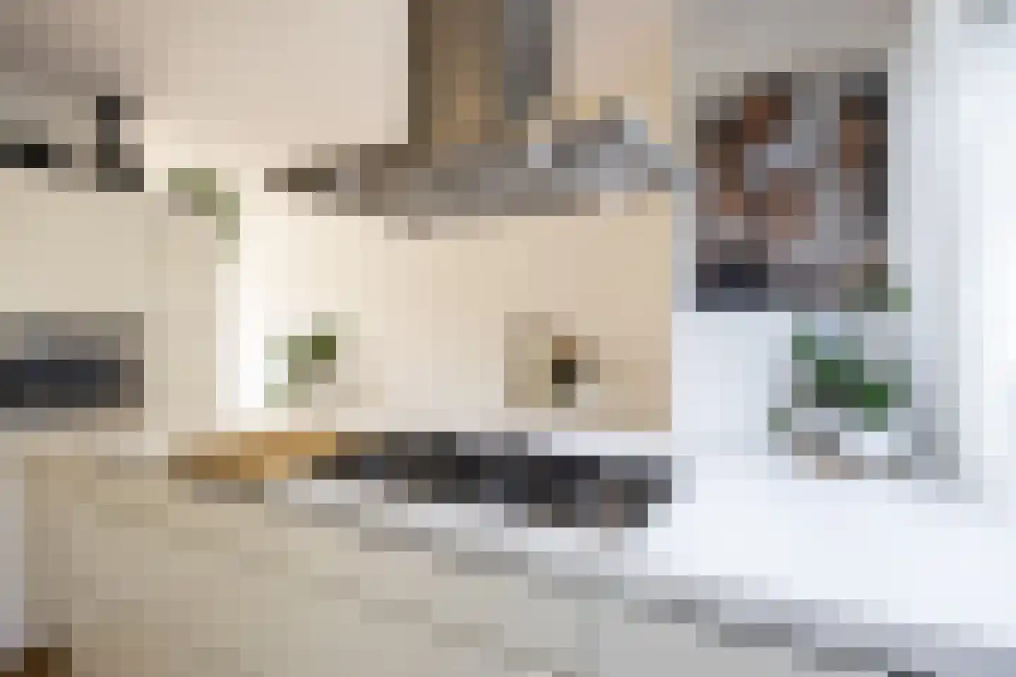 Meerpaal 367 Groningen thumbnail 14