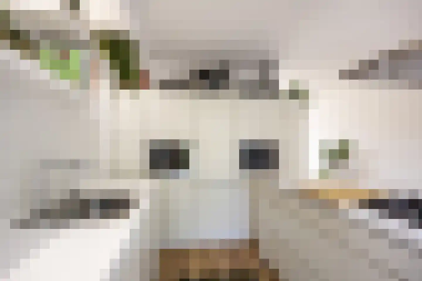 Meerpaal 367 Groningen thumbnail 15