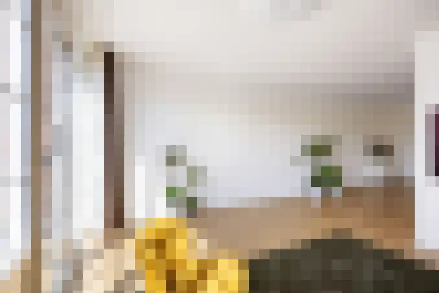 Meerpaal 367 Groningen thumbnail 22