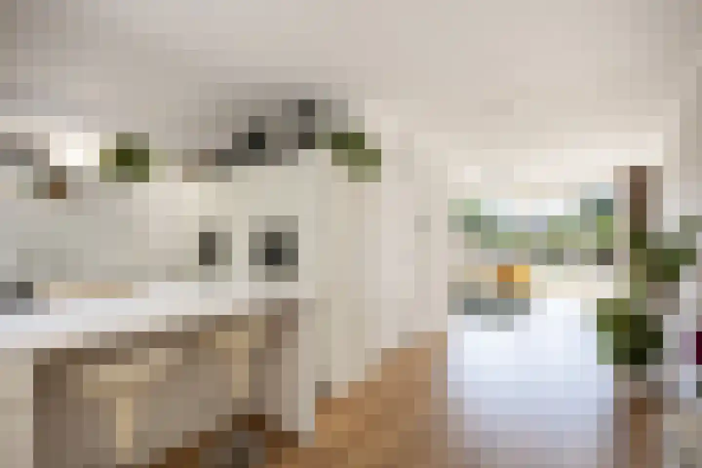 Meerpaal 367 Groningen thumbnail 9