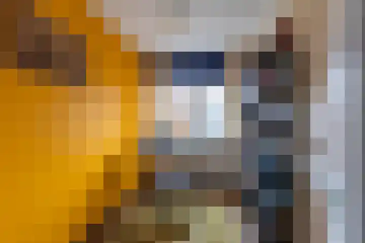 Meerpaal 370 Groningen thumbnail 30