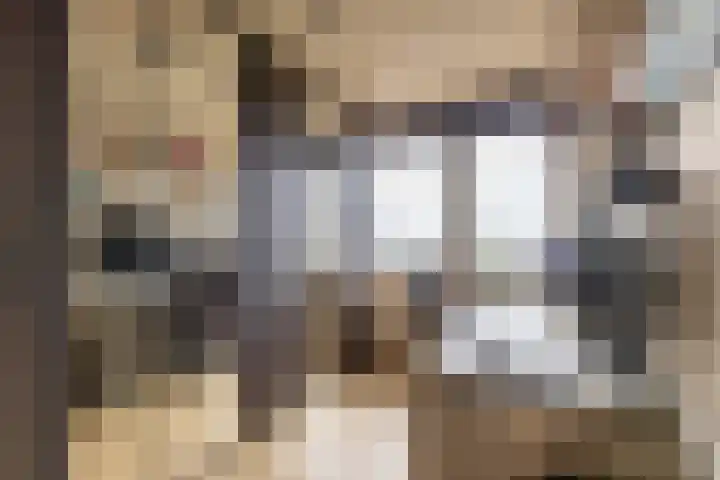 Meerpaal 370 Groningen thumbnail 35