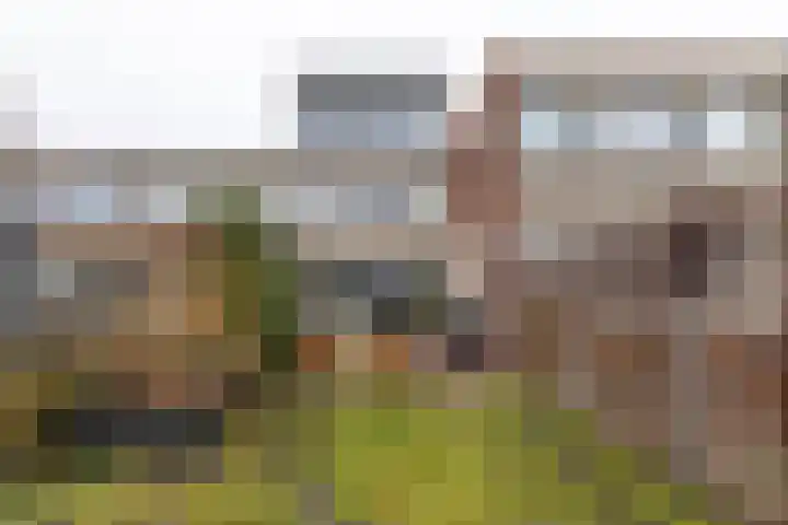Meerpaal 370 Groningen thumbnail 48