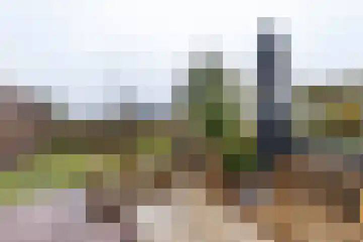 Meerpaal 370 Groningen thumbnail 49