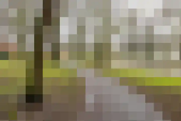 Meerpaal 370 Groningen thumbnail 53