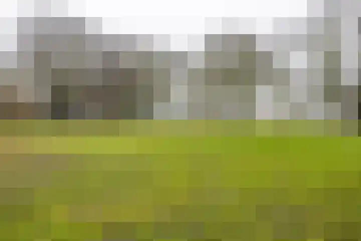 Meerpaal 370 Groningen thumbnail 54