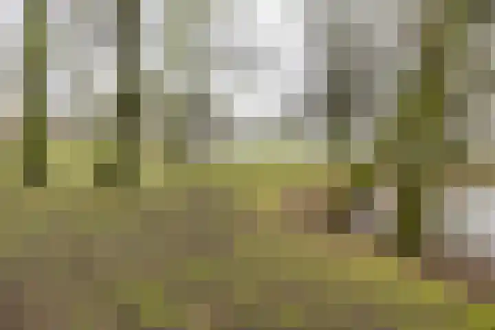 Meerpaal 370 Groningen thumbnail 55