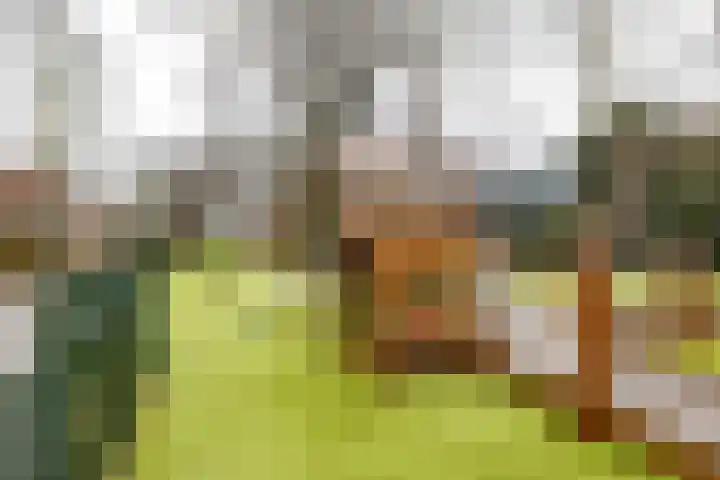 Meerpaal 370 Groningen thumbnail 56