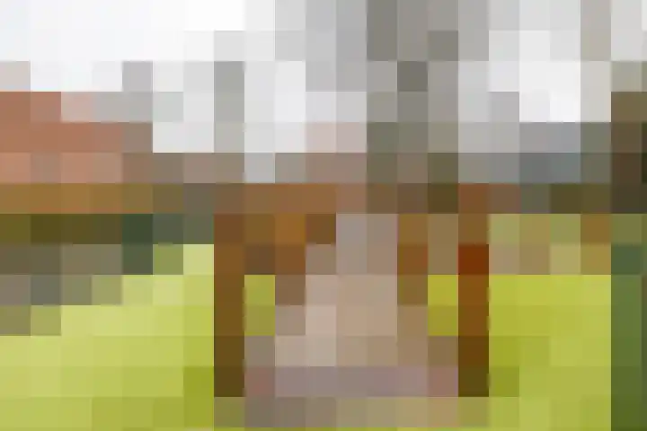 Meerpaal 370 Groningen thumbnail 57