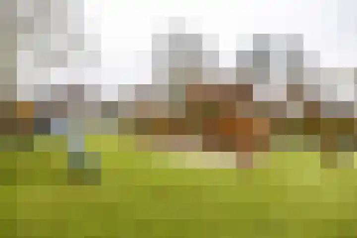 Meerpaal 370 Groningen thumbnail 58