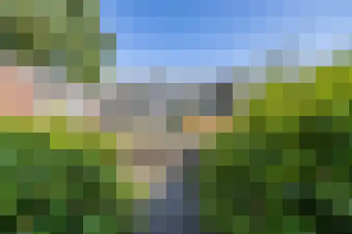 Meerpaal 403 Groningen thumbnail 12