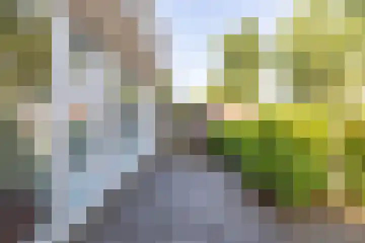 Meerpaal 403 Groningen thumbnail 14