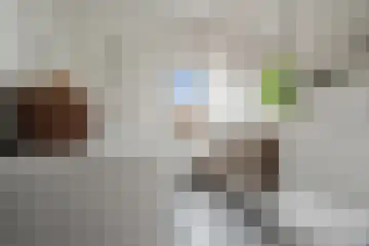 Meerpaal 403 Groningen thumbnail 15