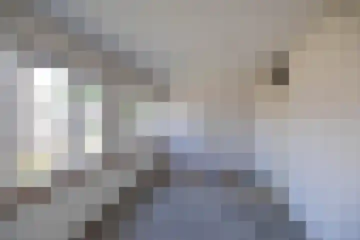 Meerpaal 403 Groningen thumbnail 20