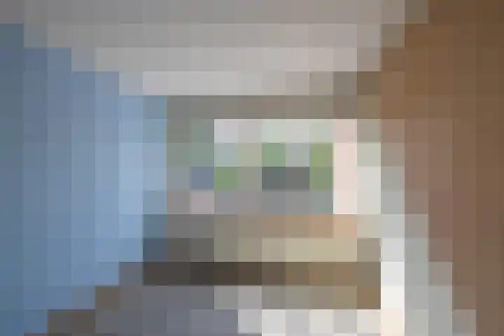 Meerpaal 403 Groningen thumbnail 24