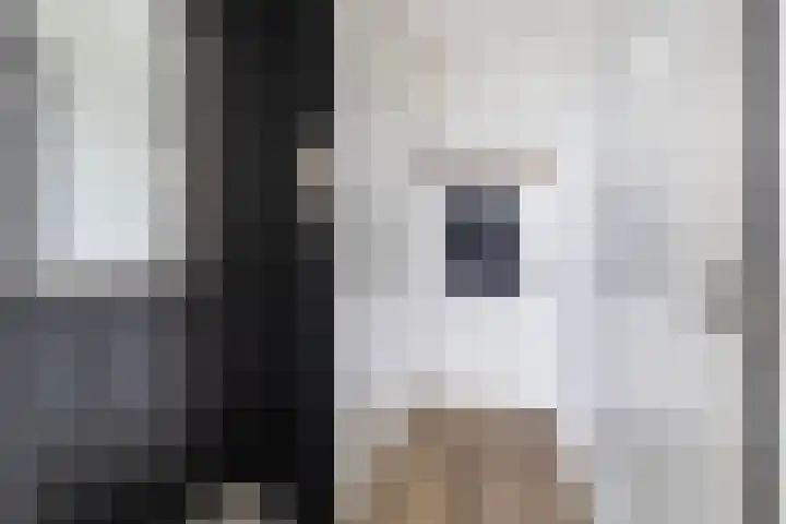 Meerpaal 48 Groningen thumbnail 20