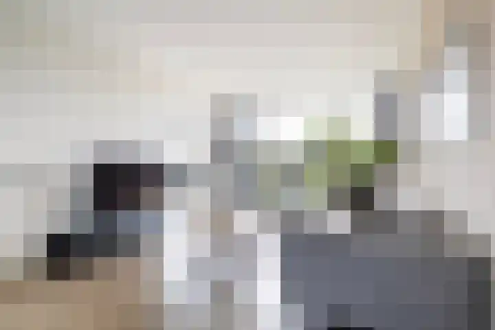 Meerpaal 48 Groningen thumbnail 22