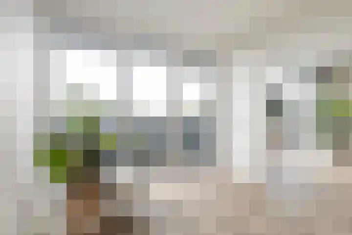 Meerpaal 48 Groningen thumbnail 23