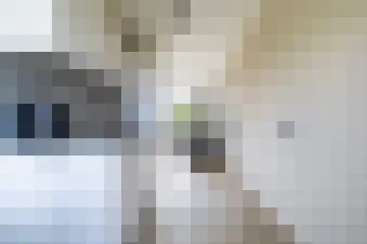 Meerpaal 48 Groningen thumbnail 35
