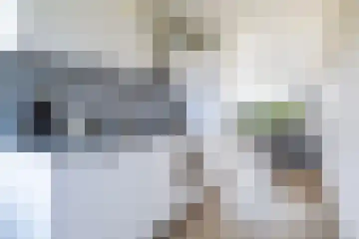 Meerpaal 48 Groningen thumbnail 36