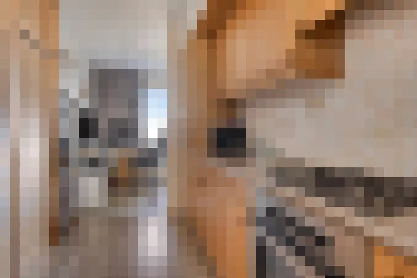Meerpaal 51 Groningen thumbnail 18