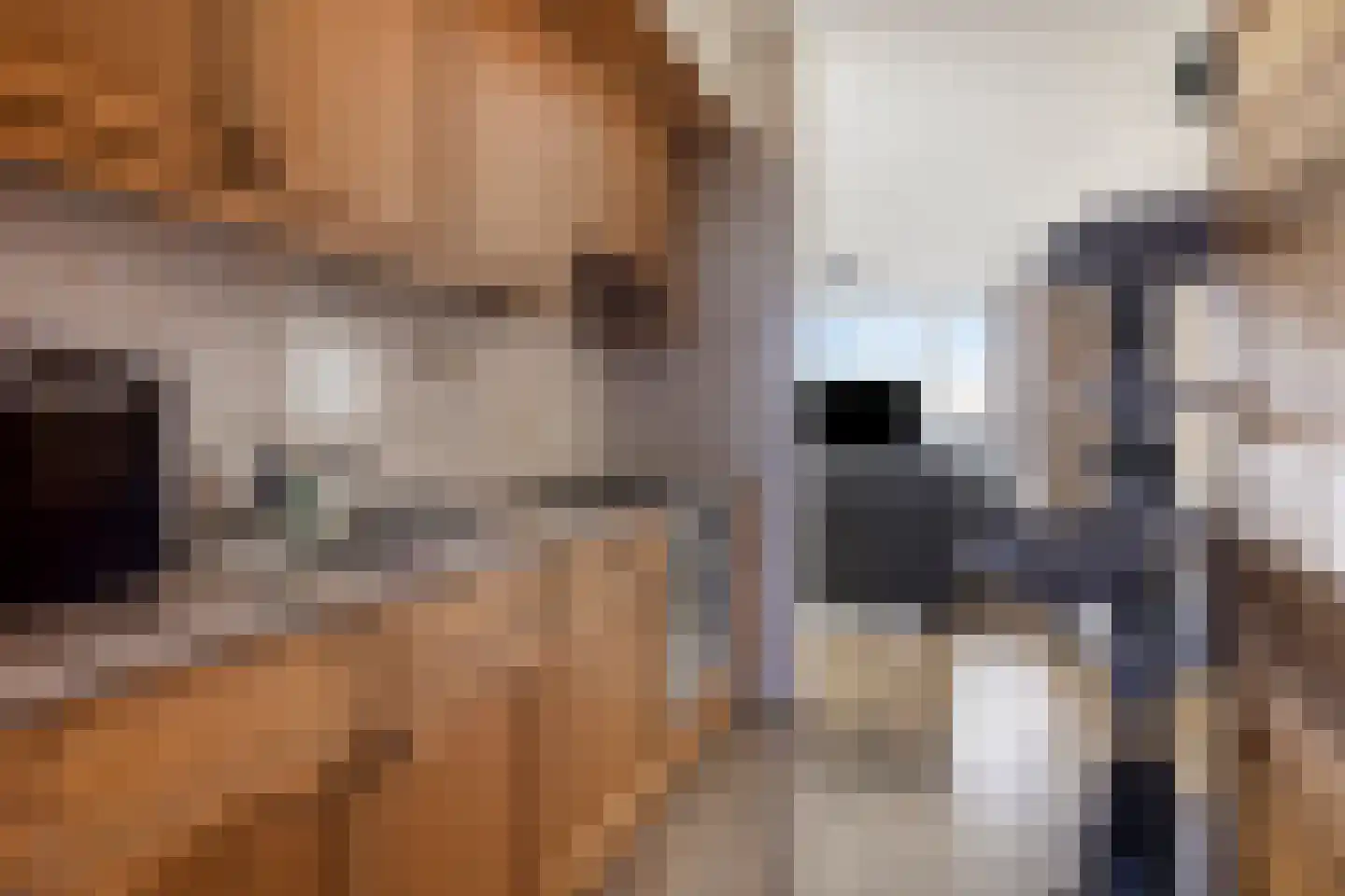 Meerpaal 51 Groningen thumbnail 19