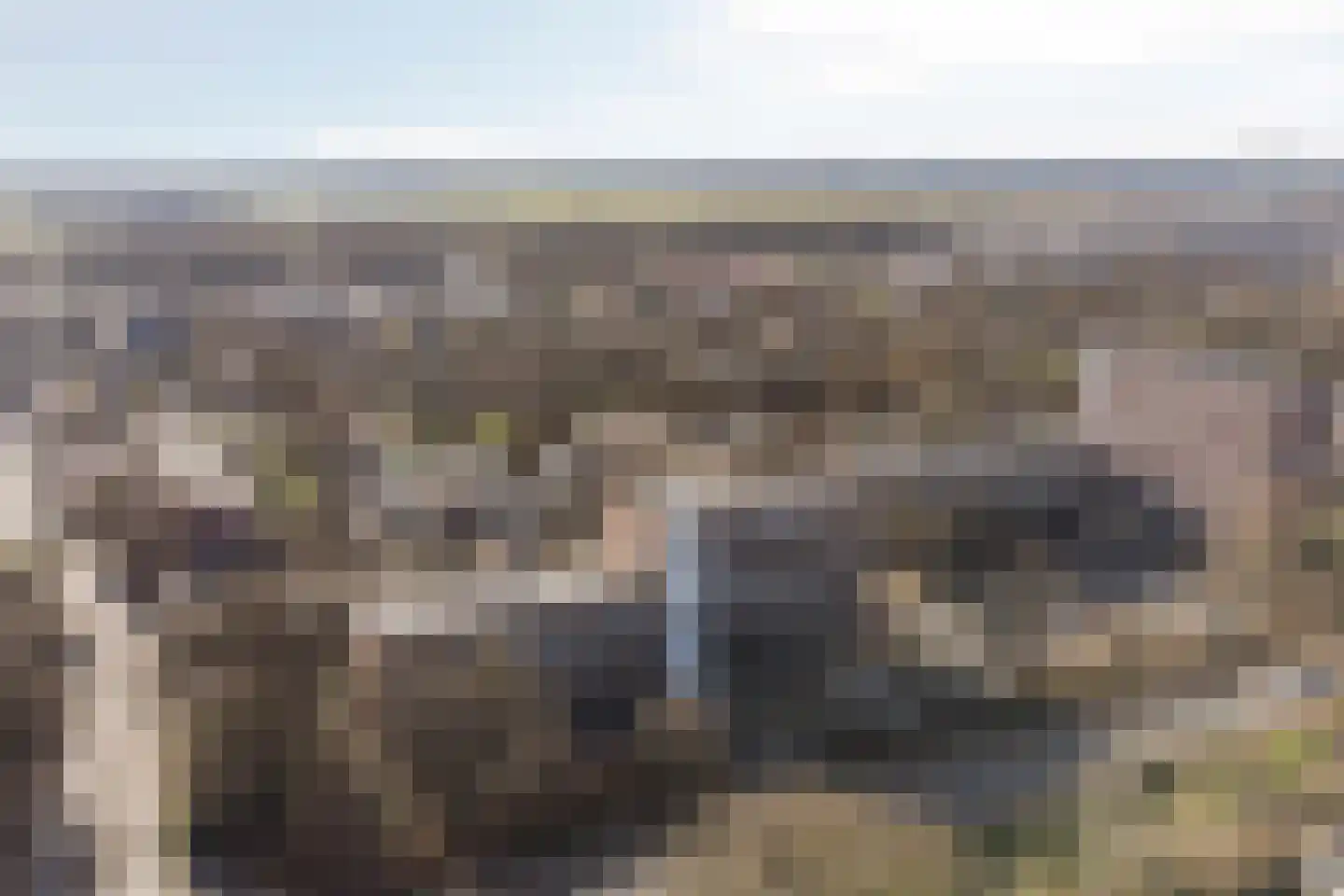 Meerpaal 51 Groningen thumbnail 38