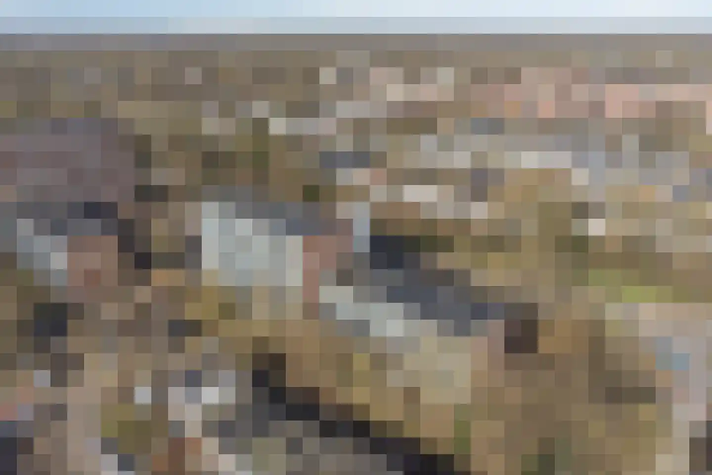 Meerpaal 51 Groningen thumbnail 39