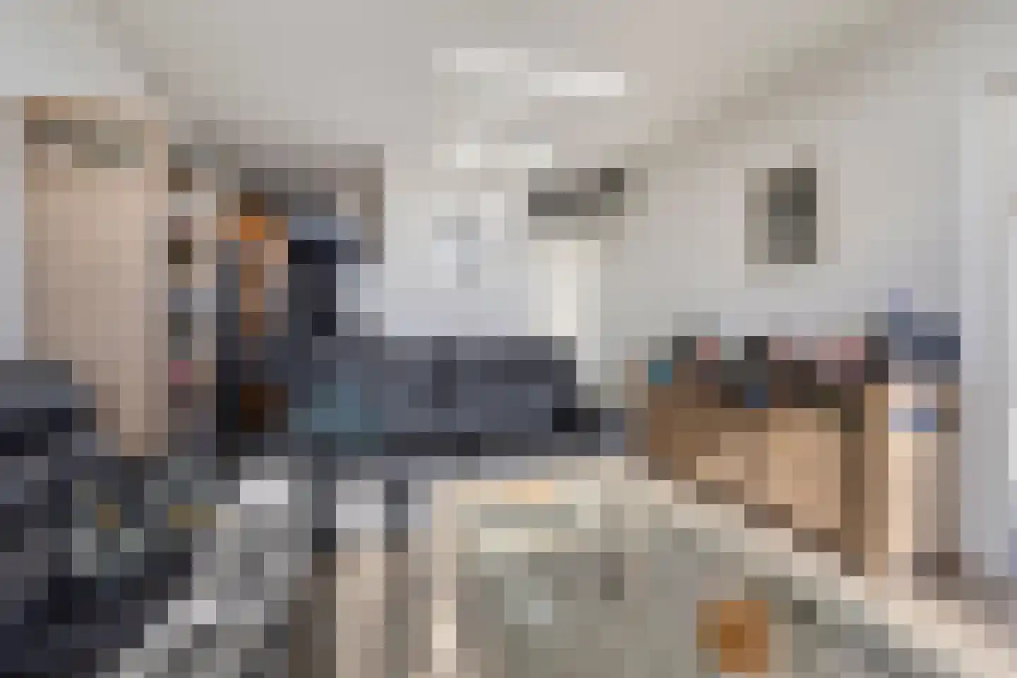 Meerpaal 51 Groningen thumbnail 8