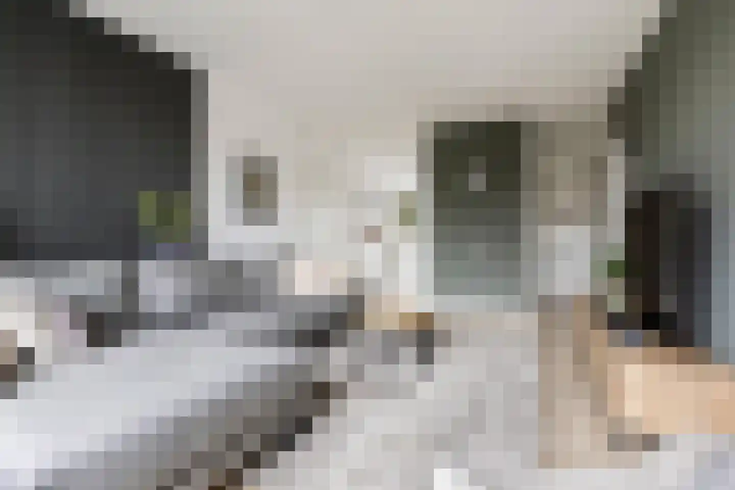 Meerpaal 58 Groningen thumbnail 16