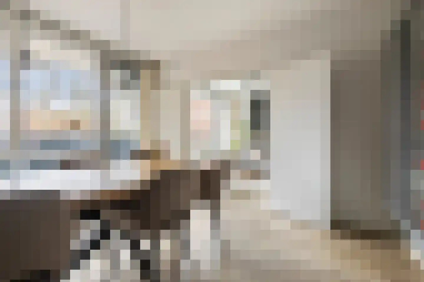 Meerpaal 58 Groningen thumbnail 21