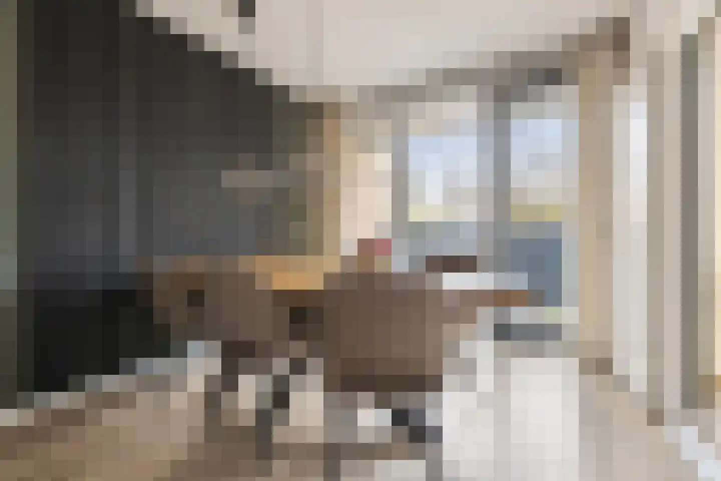 Meerpaal 58 Groningen thumbnail 4