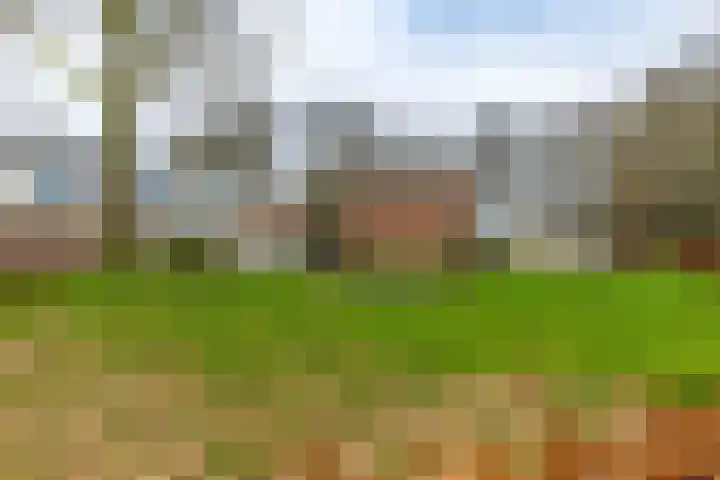 Meerpaal 71 Groningen thumbnail 19