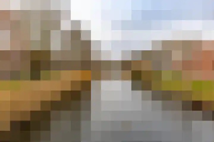 Meerpaal 71 Groningen thumbnail 20