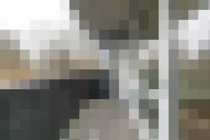 Meerpaal 71 Groningen thumbnail 7