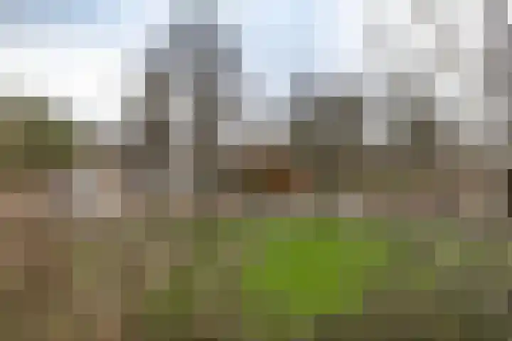 Meerpaal 71 Groningen thumbnail 9
