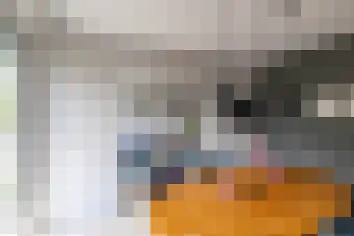 Meerpaal 81 Groningen thumbnail 15