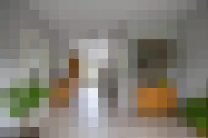 Meerpaal 81 Groningen thumbnail 17