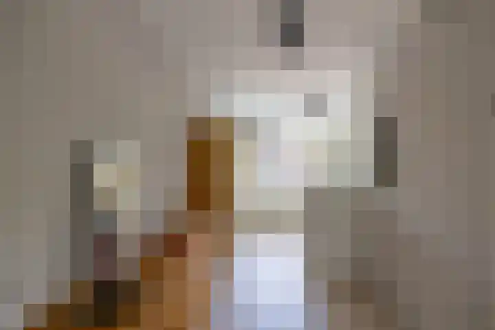 Meerpaal 81 Groningen thumbnail 18