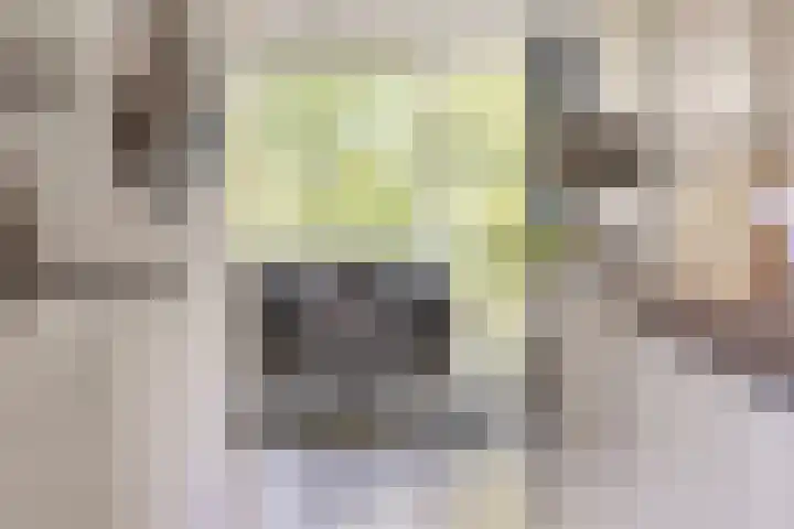 Meerpaal 86 Groningen thumbnail 23