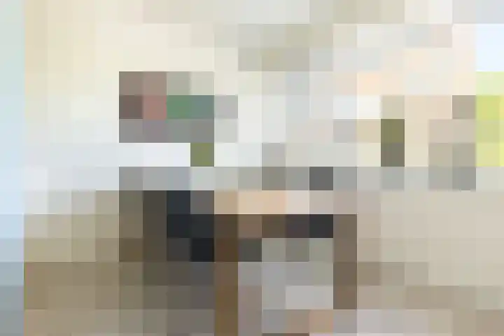 Meerpaal 86 Groningen thumbnail 24