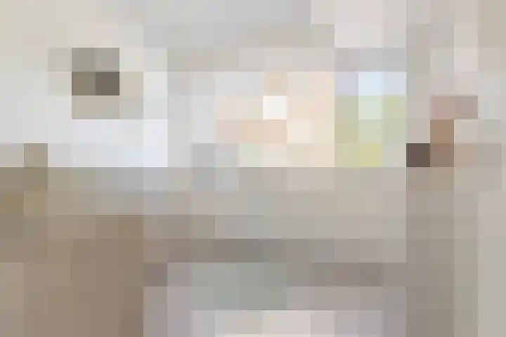 Meerpaal 86 Groningen thumbnail 32