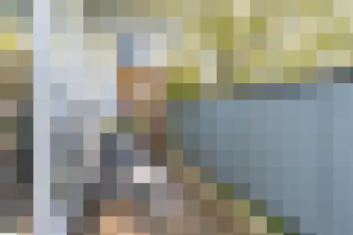 Meerpaal 86 Groningen thumbnail 38
