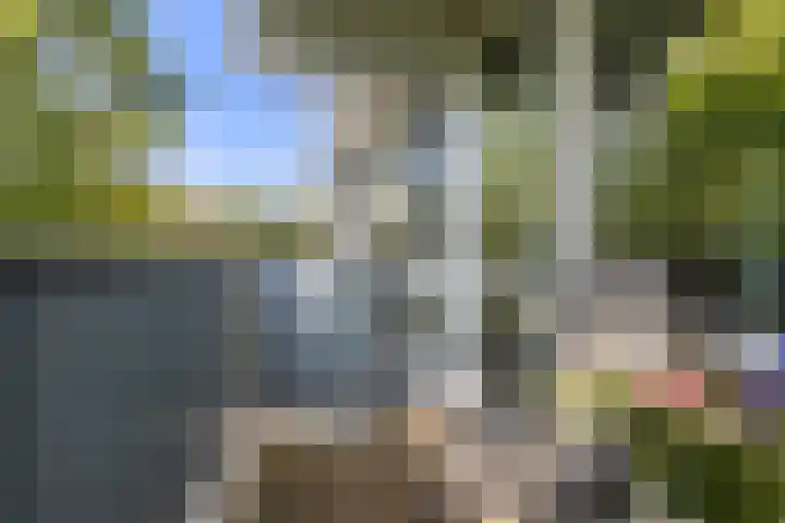 Meerpaal 86 Groningen thumbnail 39