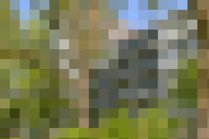 Meerpaal 86 Groningen thumbnail 41