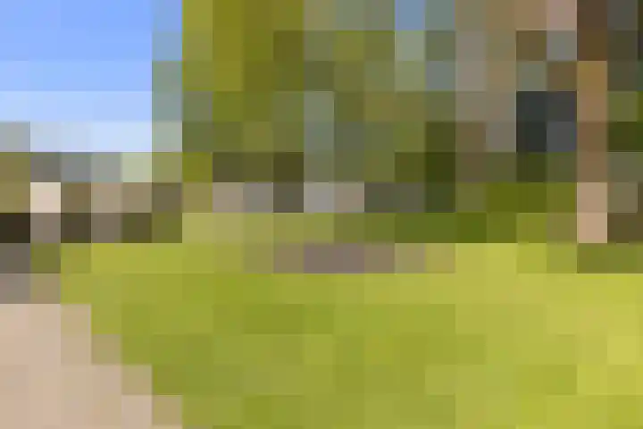 Meerpaal 86 Groningen thumbnail 42