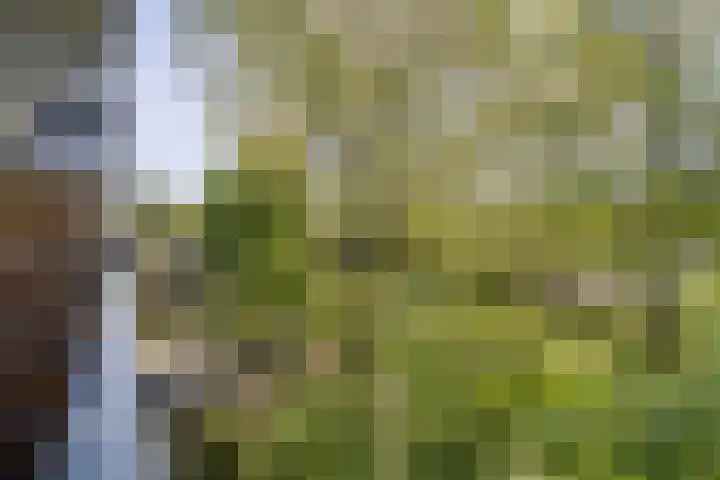 Meerpaal 86 Groningen thumbnail 6